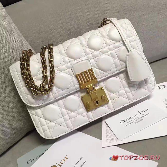 CohotBag dioraddict 1676 - 1