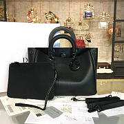 CohotBag diorissimo 1663 - 1