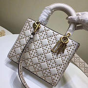 LADY DIOR 1811 24cm*20cm*11cm - 1