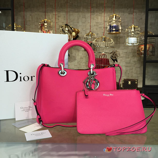 CohotBag diorissimo 1666 - 1