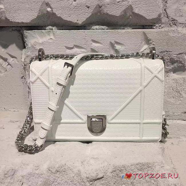 DIOR AMA 1733 - 1