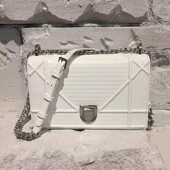 DIOR AMA 1733