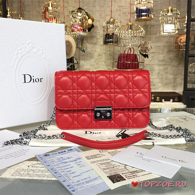 CohotBag dior woc 1675 - 1