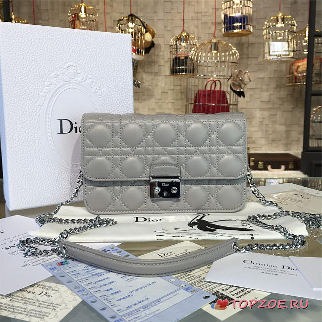 CohotBag dior woc 1681 - 1