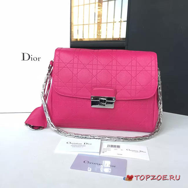 CohotBag dior miss - 1