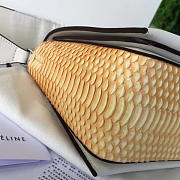 CohotBag celine leather frame z1110 - 2