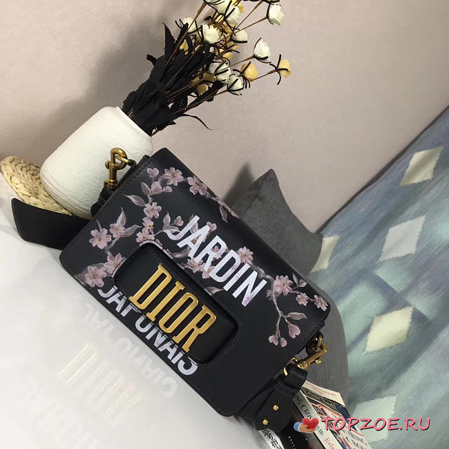CohotBag dior evolution bag 1827 - 1