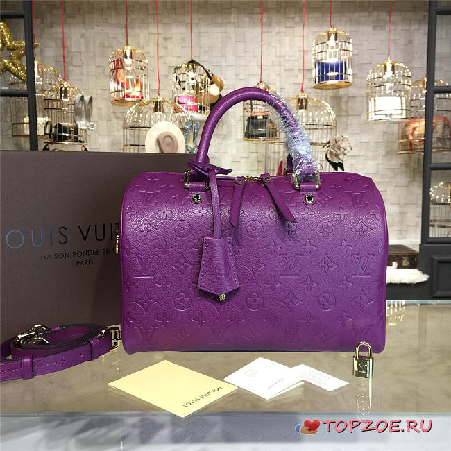 louis vuitton speedy CohotBag bandoulière 30 3116 - 1