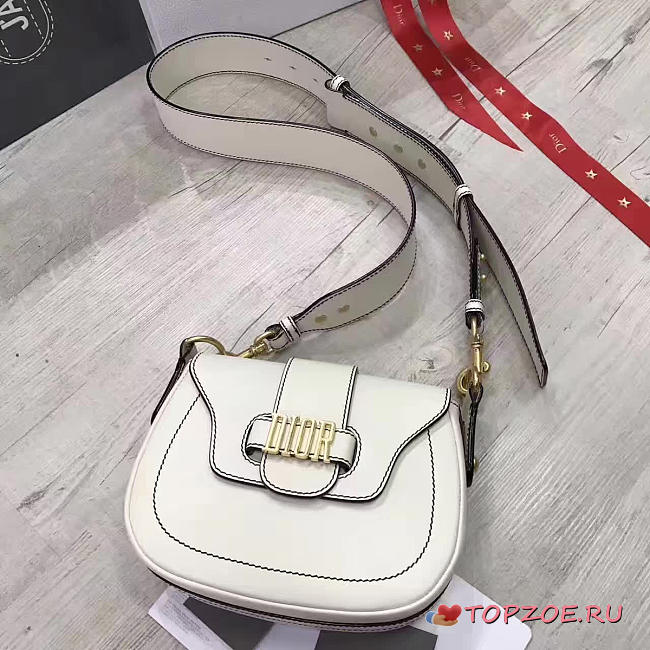 CohotBag dior fence 1724 - 1