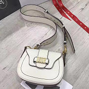 CohotBag dior fence 1724 - 1