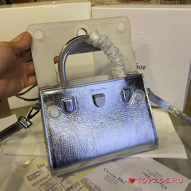CohotBag dior ever 1534 - 1