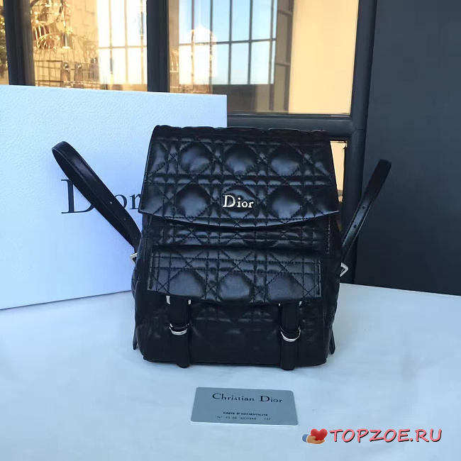 CohotBag dior backpack - 1