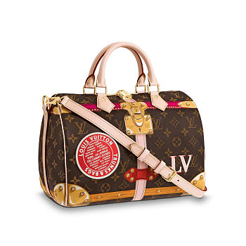 louis vuitton speedy trunk