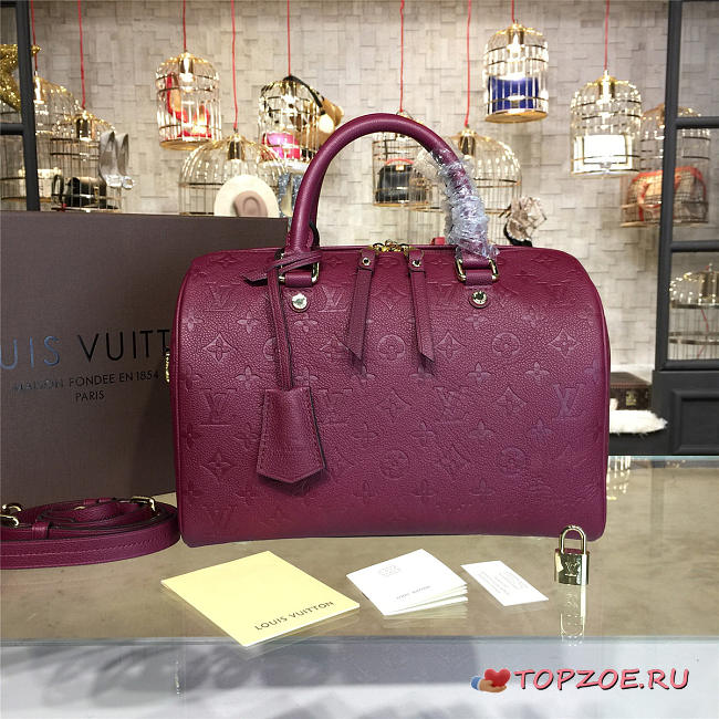 louis vuitton speedy CohotBag bandoulière 30 3117 - 1