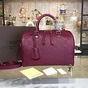 louis vuitton speedy CohotBag bandoulière 30 3117 - 1