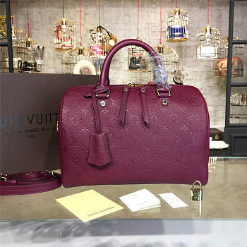 louis vuitton speedy CohotBag bandoulière 30 3117