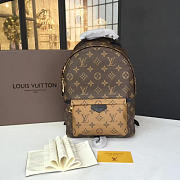 LOUIS VUITTON PALM SPRINGS BACKPACK PM MONOGRAM M43116 - 2