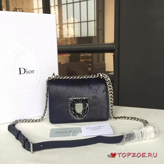 CohotBag dior handbag - 1