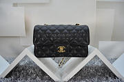CHANEL CAVIAR LEATHER FLAP BAG WITH GOLD/SILVER HARDWARE BLACK 20CM - 6