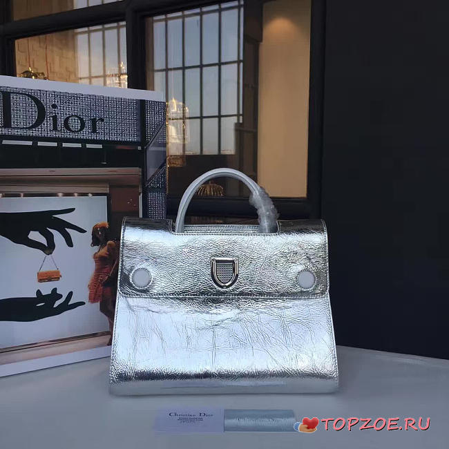 CohotBag dior ever 1731 - 1