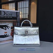 CohotBag dior ever 1731 - 1