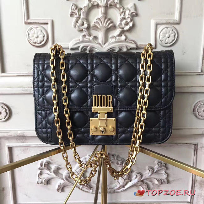 CohotBag dioraddict 1777 - 1