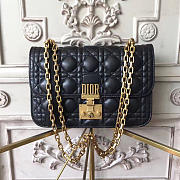 CohotBag dioraddict 1777 - 1