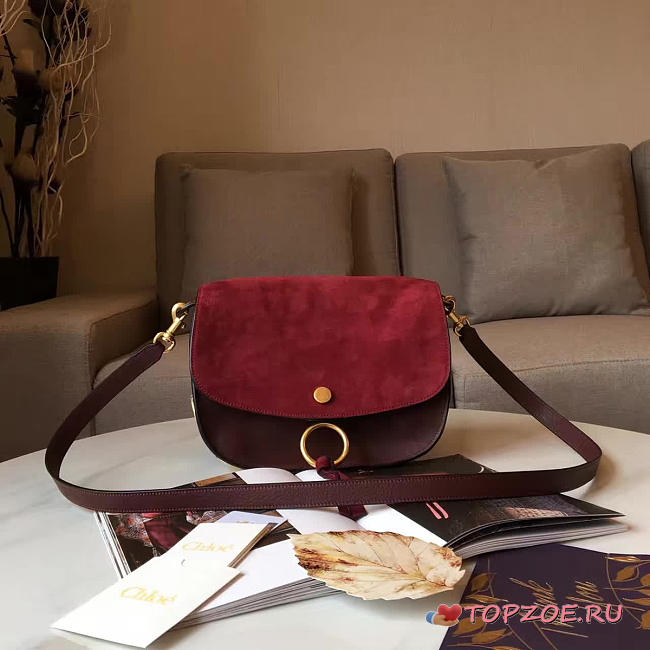 CHLOE CORTEX KURTIS BAG Z1371 - 1