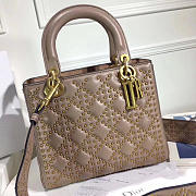 LADY DIOR 1772 24cm*20cm*11cm - 6
