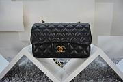 CHANEL LAMBSKIN LEATHER FLAP BAG WITH GOLD/SILVER HARDWARE BLACK 20CM - 6