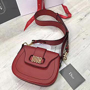 CohotBag dior fence 1726 - 1