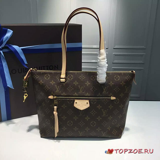 LOUIS VUITTON IENA PM MONOGRAM CANVAS - 1