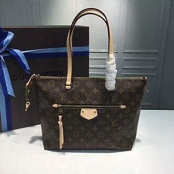 LOUIS VUITTON IENA PM MONOGRAM CANVAS