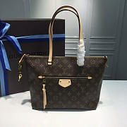 LOUIS VUITTON IENA PM MONOGRAM CANVAS - 6