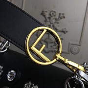 CohotBag fendi kani 2005 - 6