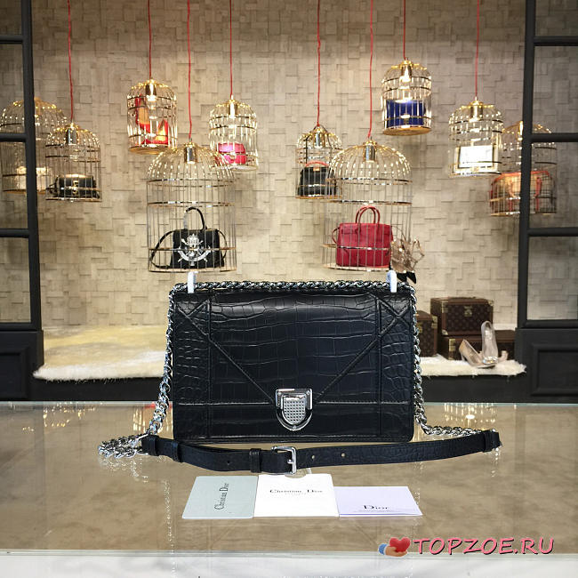 DIOR AMA 1740 - 1