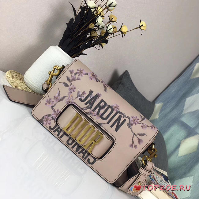CohotBag dior evolution bag 1797 - 1