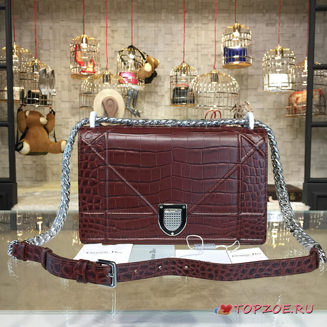 DIOR AMA 1735 - 1