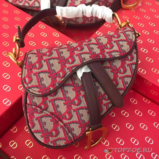 DIOR WOMEN SADDLE BAG IN RED CANVAS M0446 - 1