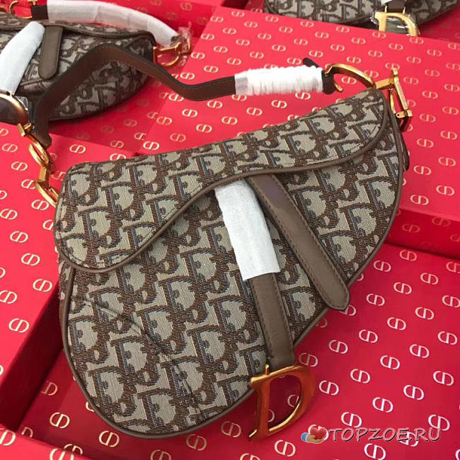DIOR WOMEN SADDLE BAG IN BROWN CANVAS M0446 - 1