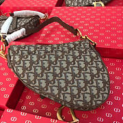 DIOR WOMEN SADDLE BAG IN BROWN CANVAS M0446 - 6