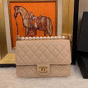 CHANEL CLASSIC RHOMBOID COVER BAG BEIGE - 4