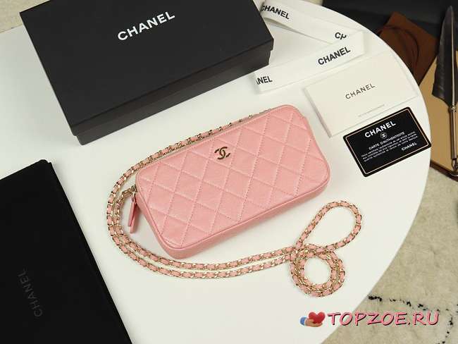 CHANEL 2019 NEW CHAIN BAG PINK - 1