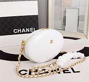 CHANEL WHOLE COWHIDE WHITE - 5