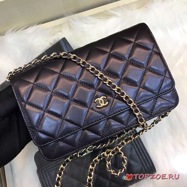 CHANEL WOC CHAIN PACKAGE - 1