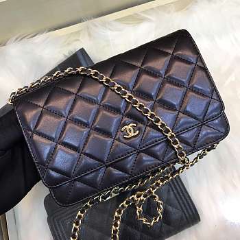 CHANEL WOC CHAIN PACKAGE