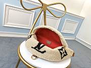 LV MONOGRAM TEDDY WOOL WAIST BAG M55425 - 3