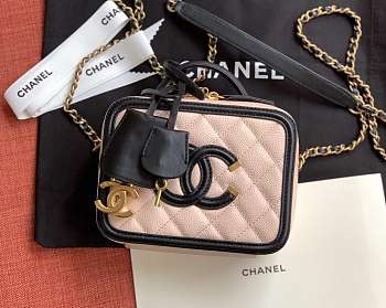 CHANEL VANITY BAG IN LIGHT PINK SIZE 21CM
