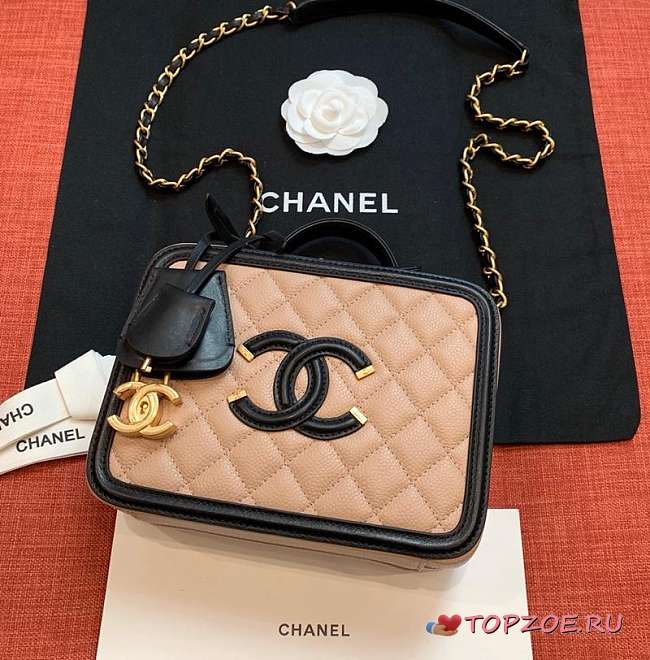 CHANEL VANITY BAG IN BIEGE SIZE 21CM - 1