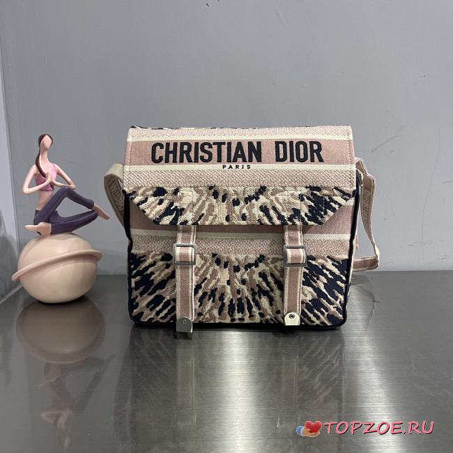 dior camp oblique - 1